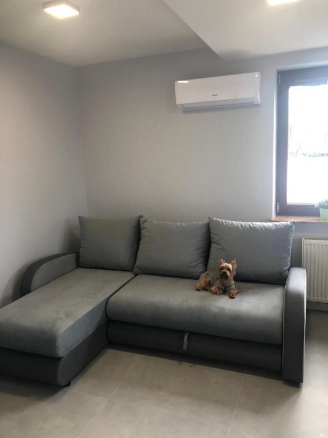 Klimatyzowane Apartamenty I Pokoje Przy Targach Kielce Exteriör bild